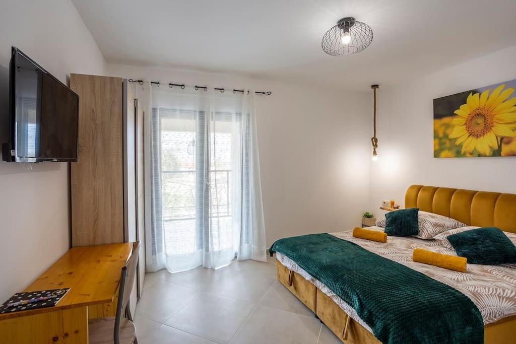 Willa House With Pool Poli Stare Nuoni Žminj Zewnętrze zdjęcie